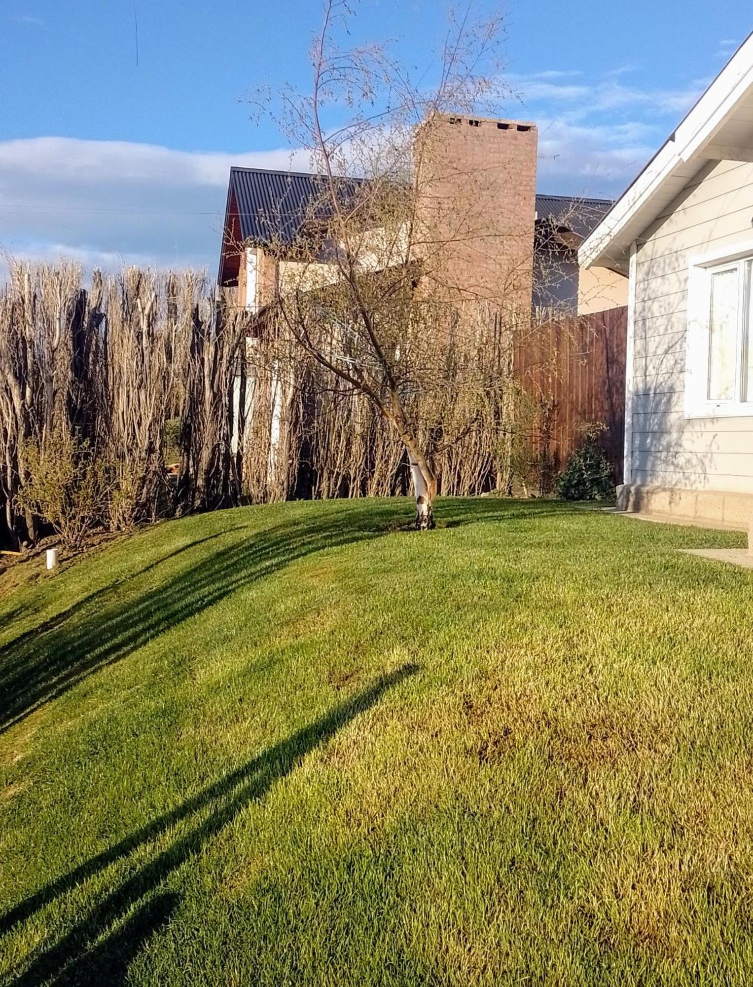 Cabana La Marilena, Para 2 Huespedes Con Desayuno El Calafate Eksteriør billede